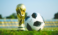 世界拳击锦标赛赛场志愿者风采展示，世界拳击协会wba
